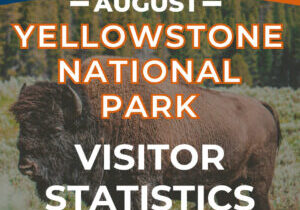 yellowstone visitor stats august post